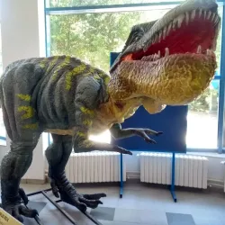 Aquarium and Dolphinarium - Constanta