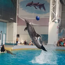Aquarium and Dolphinarium - Constanta
