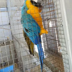 Aquarium and Dolphinarium - Constanta