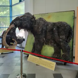 Aquarium and Dolphinarium - Constanta