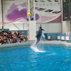 Aquarium and Dolphinarium - Constanta