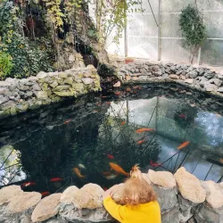 Aquarium and Dolphinarium - Constanta