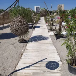 Mamaia Beach - Constanta