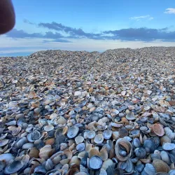 Mamaia Beach - Constanta