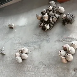 The Roman Edifice with Mosaic - Constanta