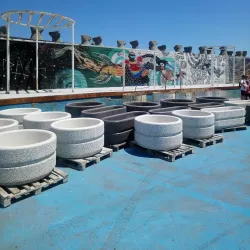 Tomis Marina - Constanta