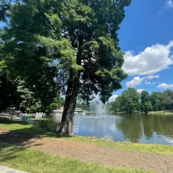 Nicolae Romanescu Park - Craiova