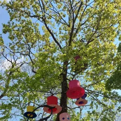 Nicolae Romanescu Theater - Craiova