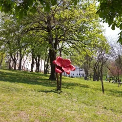 Nicolae Romanescu Theater - Craiova