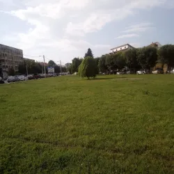 Romanescu Bridge - Craiova