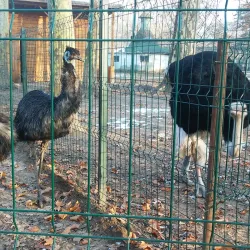 Romanescu Bridge - Craiova