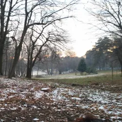 Romanescu Bridge - Craiova