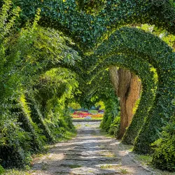 The Craiova Botanical Garden - Craiova