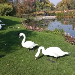 The Craiova Botanical Garden - Craiova