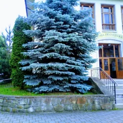 Cugir Cultural Center - Cugir