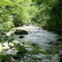 Cugir River Walk - Cugir