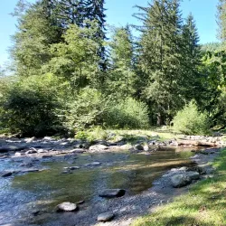 Cugir River Walk - Cugir