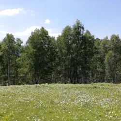 Cugir River Walk - Cugir
