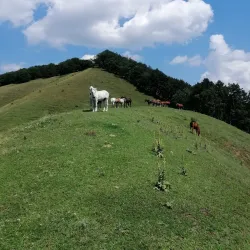Traditional Romanian Village near Cugir - Cugir