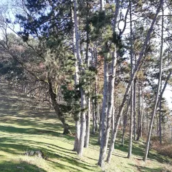 Traditional Romanian Village near Cugir - Cugir