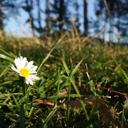 Traditional Romanian Village near Cugir - Cugir