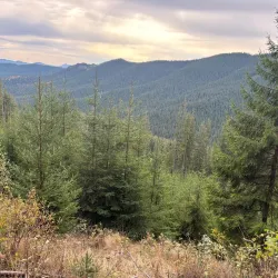 Dealu Hills Hiking Trails - Dealu