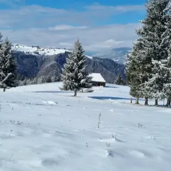 Dealu Hills Hiking Trails - Dealu