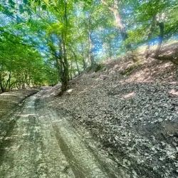 Dealu Hills Hiking Trails - Dealu