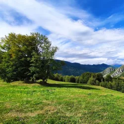 Dealu Hills Hiking Trails - Dealu