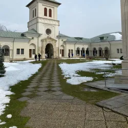 Dealu Village Museum - Dealu