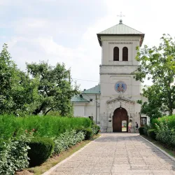 Dealu Village Museum - Dealu
