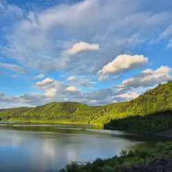 Local Market - Dealu