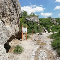Nature Reserve Areas - Dealu