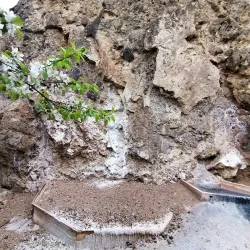 Nature Reserve Areas - Dealu