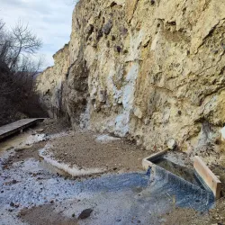 Nature Reserve Areas - Dealu