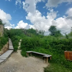 Nature Reserve Areas - Dealu