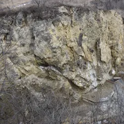 Nature Reserve Areas - Dealu