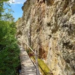 Nature Reserve Areas - Dealu