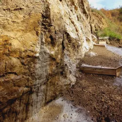 Nature Reserve Areas - Dealu