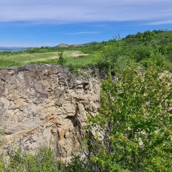 Nature Reserve Areas - Dealu