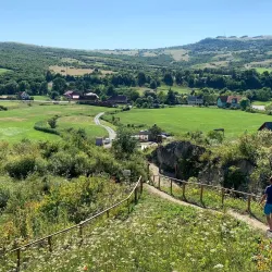 Nature Reserve Areas - Dealu