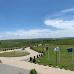 Nearby Vineyards - Dealu