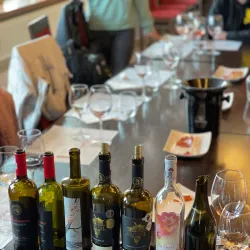 Nearby Vineyards - Dealu