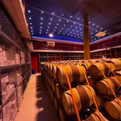 Nearby Vineyards - Dealu