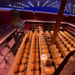 Nearby Vineyards - Dealu