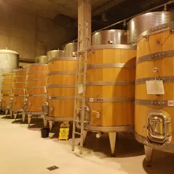 Nearby Vineyards - Dealu