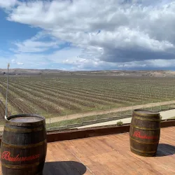 Nearby Vineyards - Dealu