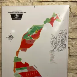 Nearby Vineyards - Dealu