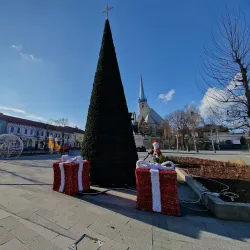 Central Park Dej - Dej