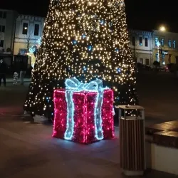 Central Park Dej - Dej